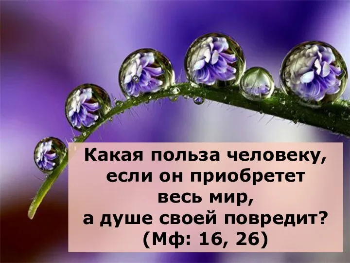 Какая польза человеку, если он приобретет весь мир, а душе своей повредит? (Мф: 16, 26)