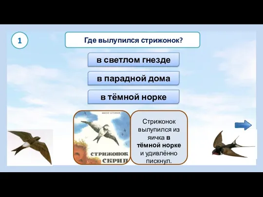 в тёмной норке Где вылупился стрижонок? в парадной дома в светлом гнезде