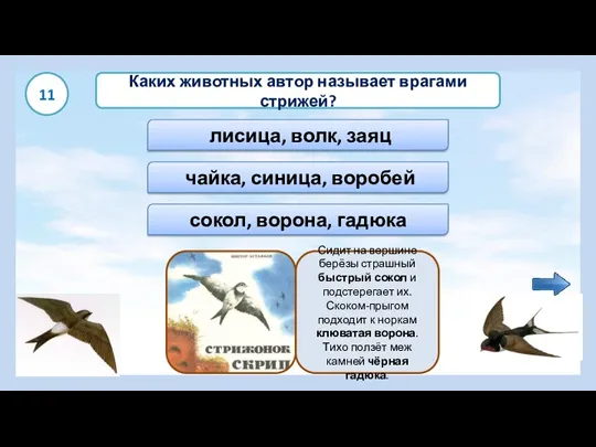 сокол, ворона, гадюка Каких животных автор называет врагами стрижей? чайка, синица, воробей