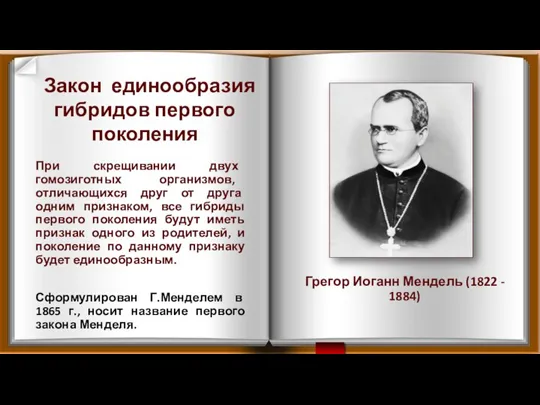 Грегор Иоганн Мендель (1822 - 1884) При скрещивании двух гомозиготных организмов, отличающихся