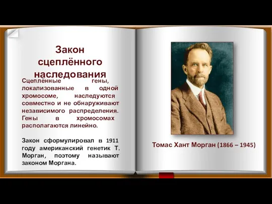 Закон сцеплённого наследования Сцеплённые гены, локализованные в одной хромосоме, наследуются совместно и