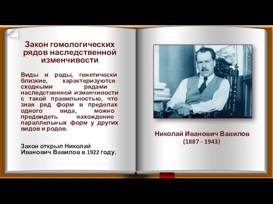 Николай Иванович Вавилов (1887 - 1943) Виды и роды, генетически близкие, характеризуются