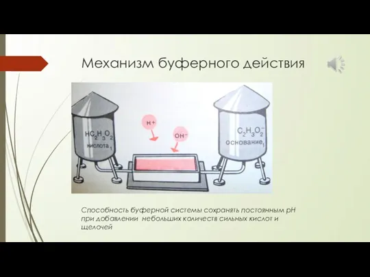 Механизм буферного действия Способность буферной системы сохранять постоянным рН при добавлении небольших