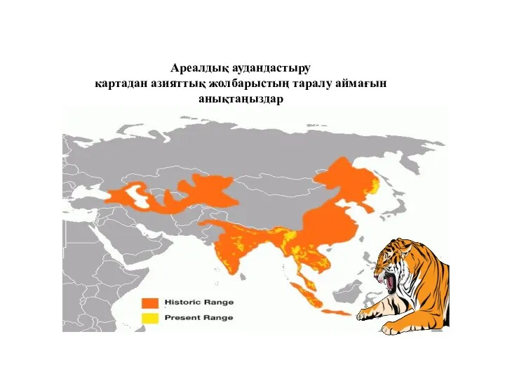 Ареалдық аудандастыру картадан азияттық жолбарыстың таралу аймағын анықтаңыздар