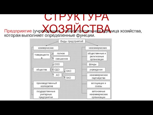 СТРУКТУРА ХОЗЯЙСТВА Предприятие (учреждение) – самостоятельная единица хозяйства, которая выполняет определенные функции.