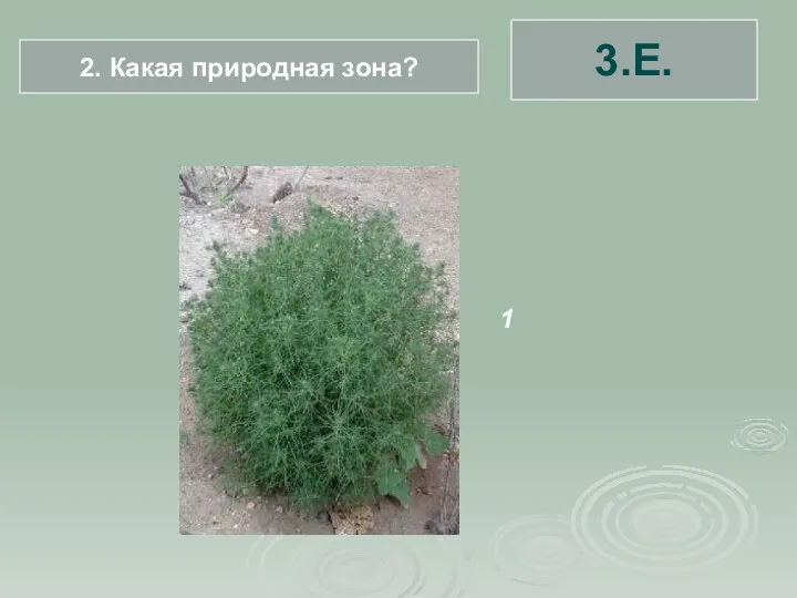 1 3.Е. 2. Какая природная зона?