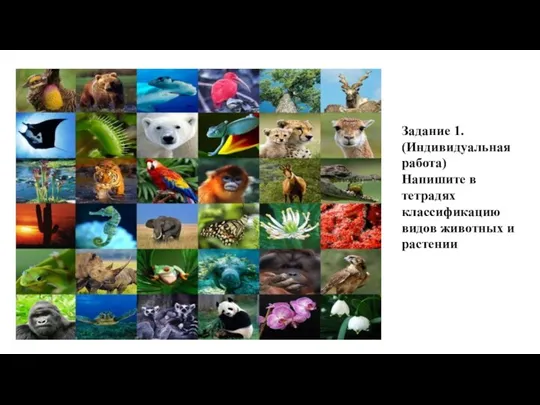 Задание 1. (Индивидуальная работа) Напишите в тетрадях классификацию видов животных и растении