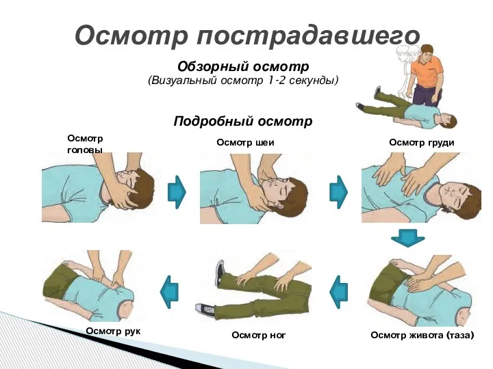 Осмотр пострадавшего Обзорный осмотр (Визуальный осмотр 1-2 секунды) Подробный осмотр Осмотр живота