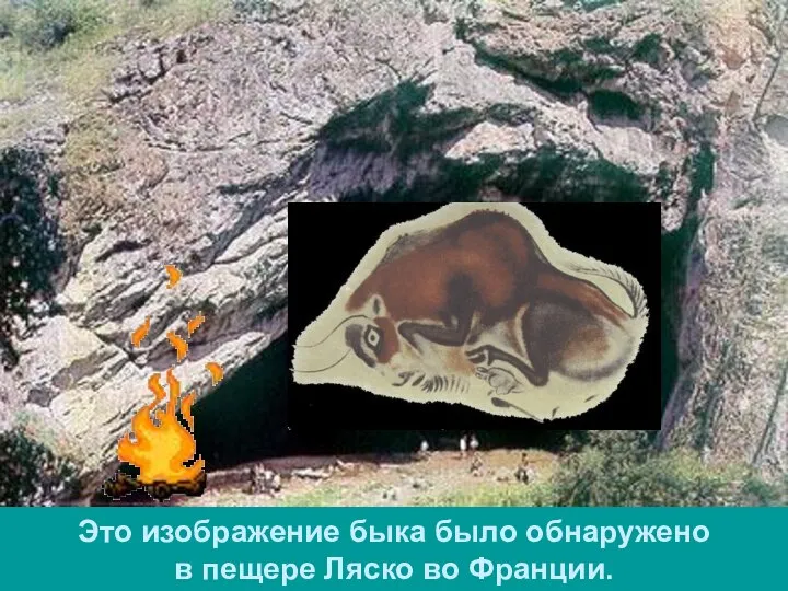 Это изображение быка было обнаружено в пещере Ляско во Франции.