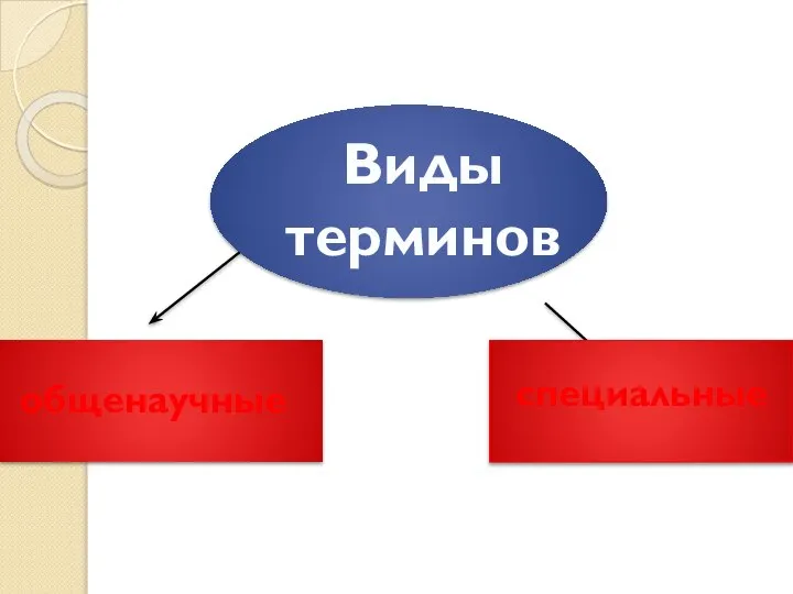 специальные Виды терминов