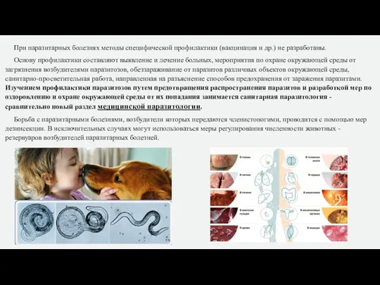 При паразитарных болезнях методы специфической профилактики (вакцинация и др.) не разработаны. Основу