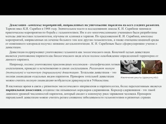 Девастация - комплекс мероприятий, направленных на уничтожение паразитов на всех стадиях развития.