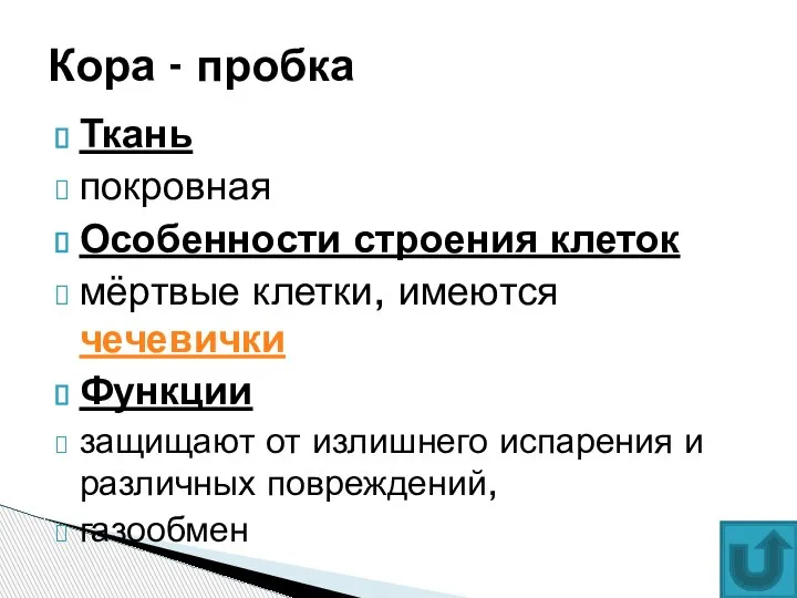 Ткань покровная Особенности строения клеток мёртвые клетки, имеются чечевички Функции защищают от