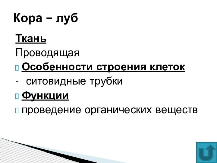 Ткань Проводящая Особенности строения клеток - ситовидные трубки Функции проведение органических веществ Кора – луб