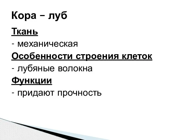 Ткань - механическая Особенности строения клеток - лубяные волокна Функции - придают прочность Кора – луб