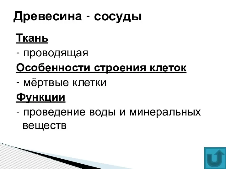 Ткань - проводящая Особенности строения клеток - мёртвые клетки Функции - проведение