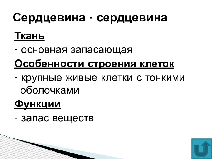 Ткань - основная запасающая Особенности строения клеток - крупные живые клетки с