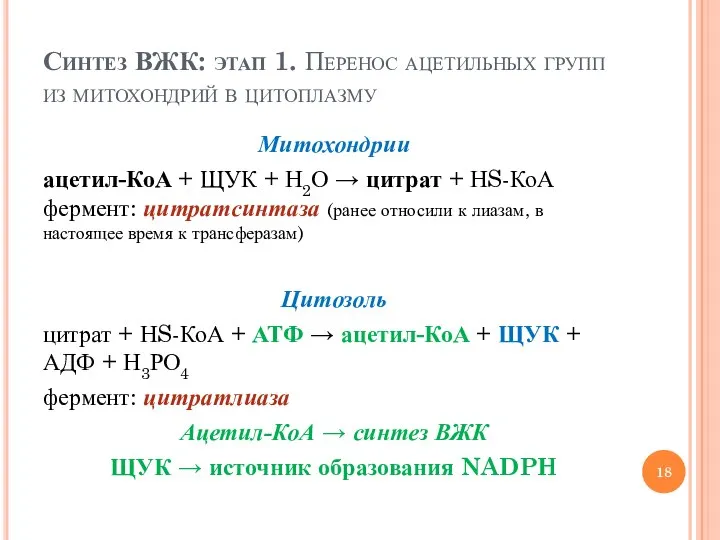Синтез ВЖК: этап 1. Перенос ацетильных групп из митохондрий в цитоплазму Митохондрии