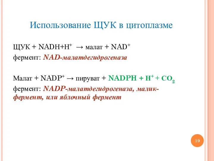 Использование ЩУК в цитоплазме ЩУК + NADН+Н+ → малат + NAD+ фермент: