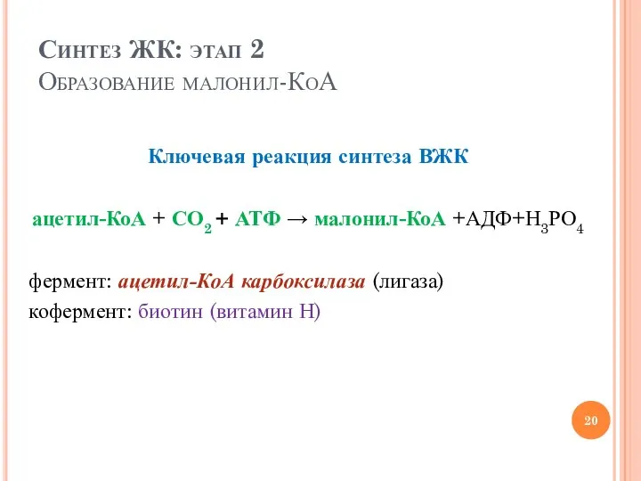Синтез ЖК: этап 2 Образование малонил-КоА Ключевая реакция синтеза ВЖК ацетил-КоА +