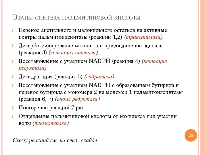 Этапы синтеза пальмитиновой кислоты Перенос ацетильного и малонильного остатков на активные центры