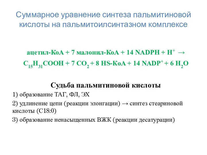 Суммарное уравнение синтеза пальмитиновой кислоты на пальмитоилсинтазном комплексе ацетил-КоА + 7 малонил-КоА