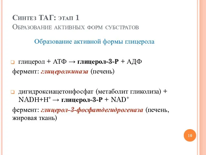 Синтез ТАГ: этап 1 Образование активных форм субстратов Образование активной формы глицерола