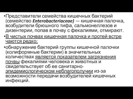 Представители семейства кишечных бактерий (семейство Enterobacteriaceae) — кишечная палочка, возбудители брюшного тифа,