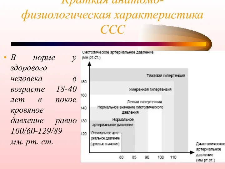 Краткая анатомо-физиологическая характеристика ССС В норме у здорового человека в возрасте 18-40