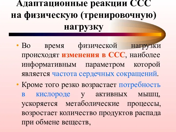 Адаптационные реакции ССС на физическую (тренировочную) нагрузку Во время физической нагрузки происходят