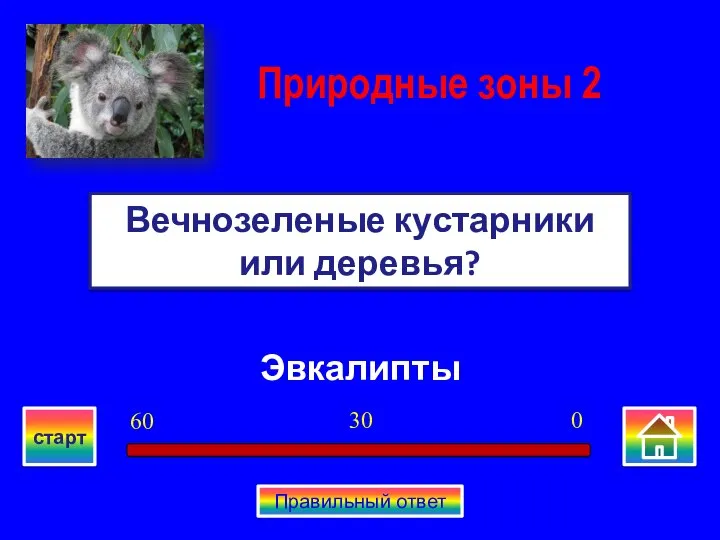 Эвкалипты Вечнозеленые кустарники или деревья? Природные зоны 2 0 30 60 старт Правильный ответ