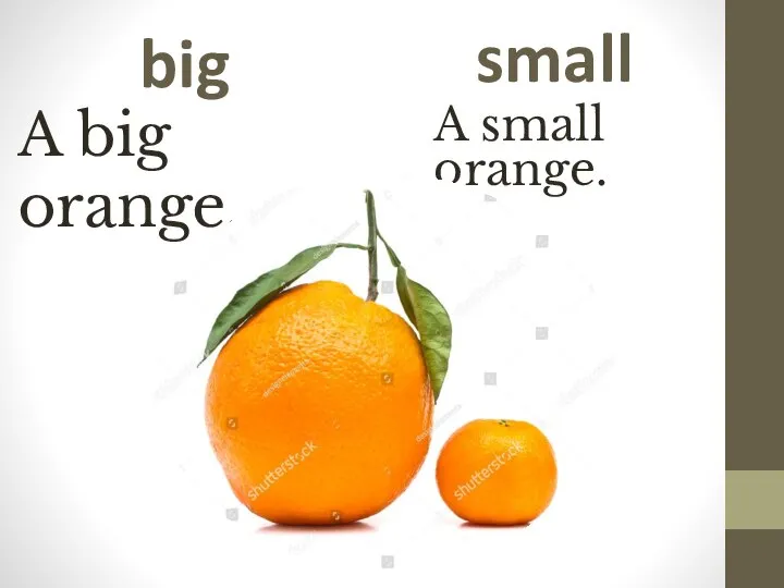 big A big orange. small A small orange.