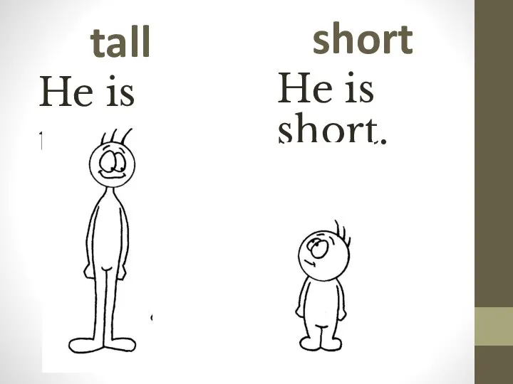 tall He is tall. short He is short.