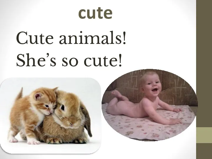 cute Cute animals! She’s so cute!