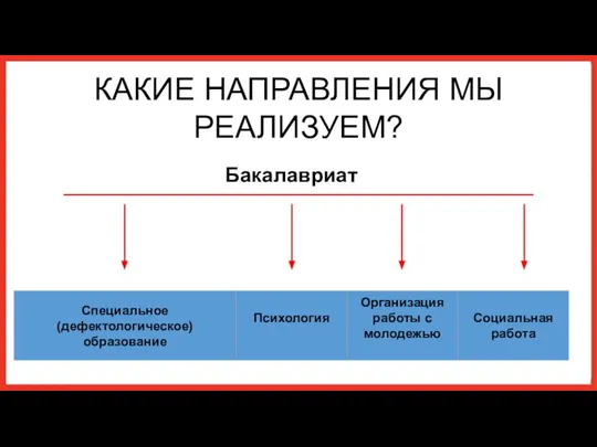 КАКИЕ НАПРАВЛЕНИЯ МЫ РЕАЛИЗУЕМ? Бакалавриат