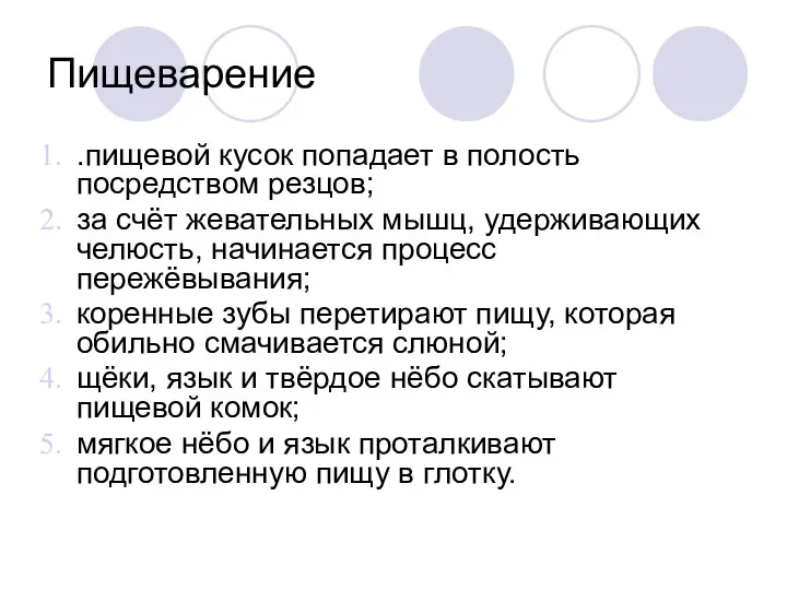 Пищеварение .пищевой кусок попадает в полость посредством резцов; за счёт жевательных мышц,