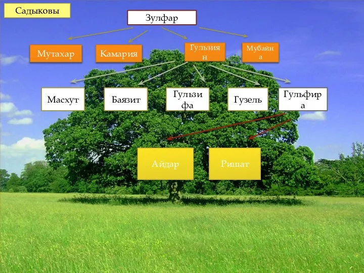 Садыковы Зулфар Мутахар Камария Гульзиян Мубайна Масхут Баязит Гульзифа Гузель Гульфира Айдар Ришат