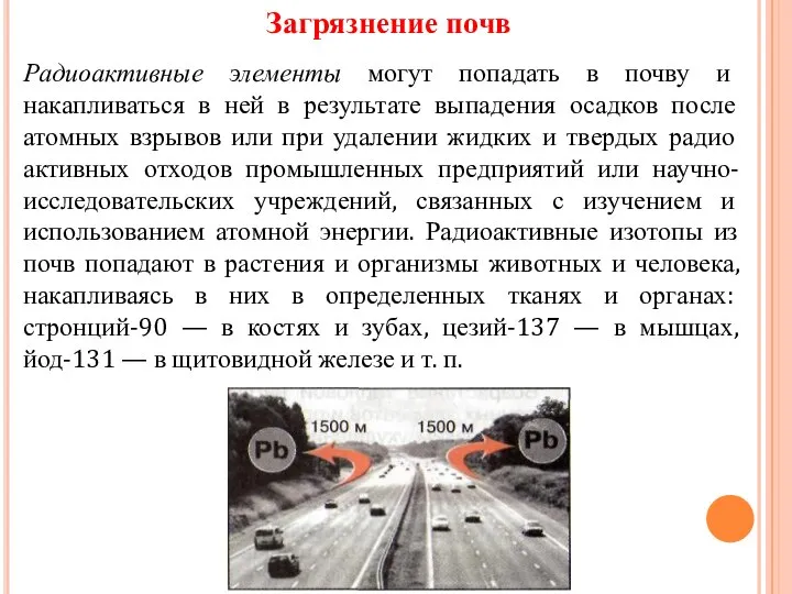 Радиоактивные элементы могут попадать в почву и накапливаться в ней в результате