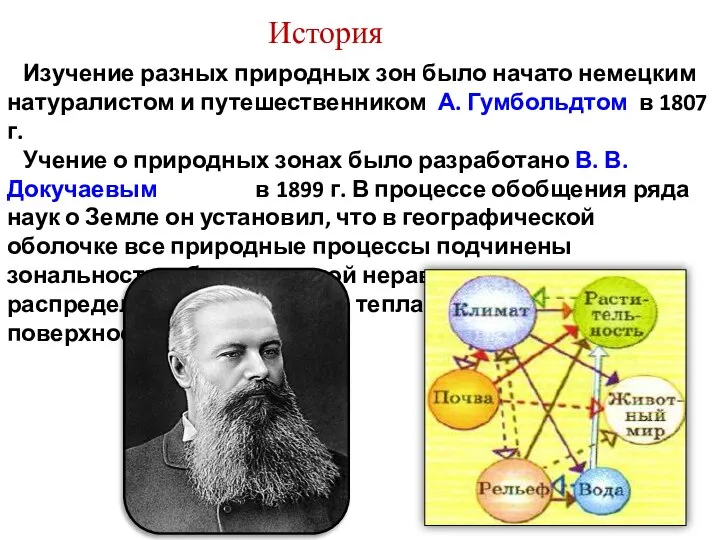 История Изучение разных природных зон было начато немецким натуралистом и путешественником А.