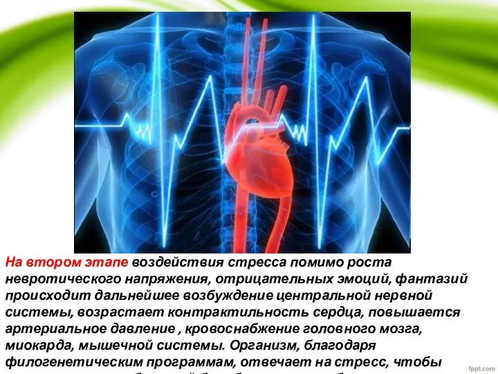 На втором этапе воздействия стресса помимо роста невротического напряжения, отрицательных эмоций, фантазий