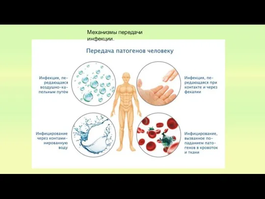 Механизмы передачи инфекции.