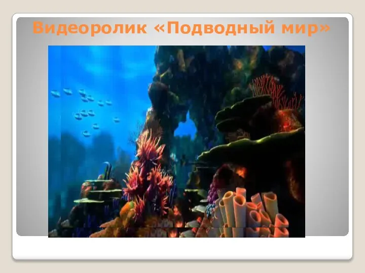 Видеоролик «Подводный мир»