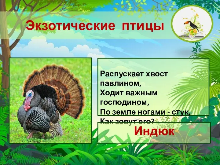 Распускает хвост павлином, Ходит важным господином, По земле ногами - стук, Как