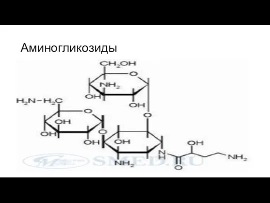 Аминогликозиды