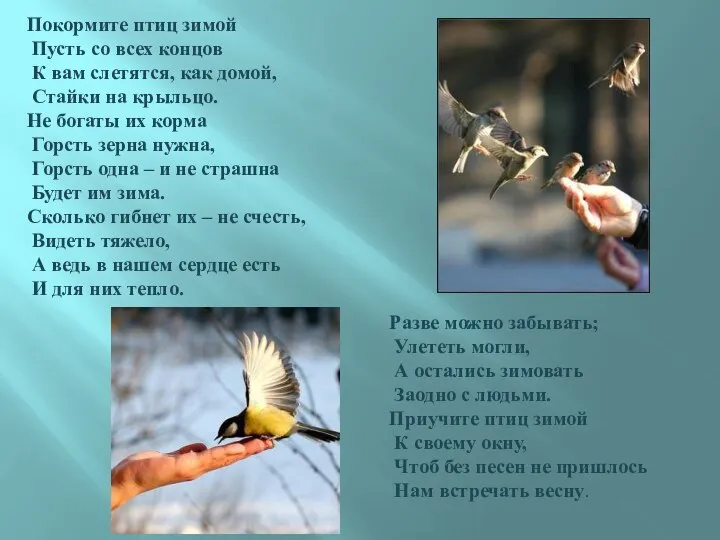 Покормите птиц зимой Пусть со всех концов К вам слетятся, как домой,