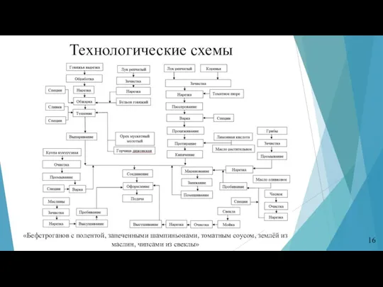 16 Технологические схемы «Бефстроганов с полентой, запеченными шампиньонами, томатным соусом, землёй из маслин, чипсами из свеклы»