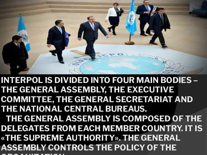 INTERPOL IS DIVIDED INTO FOUR MAIN BODIES – THE GENERAL ASSEMBLY, THE
