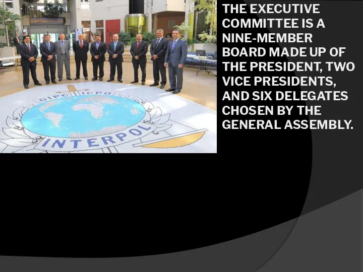 THE EXECUTIVE COMMITTEE IS A NINE-MEMBER BOARD MADE UP OF THE PRESIDENT,