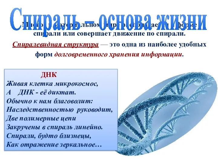 Многое в материальном мире располагается в форме спирали или совершает движение по