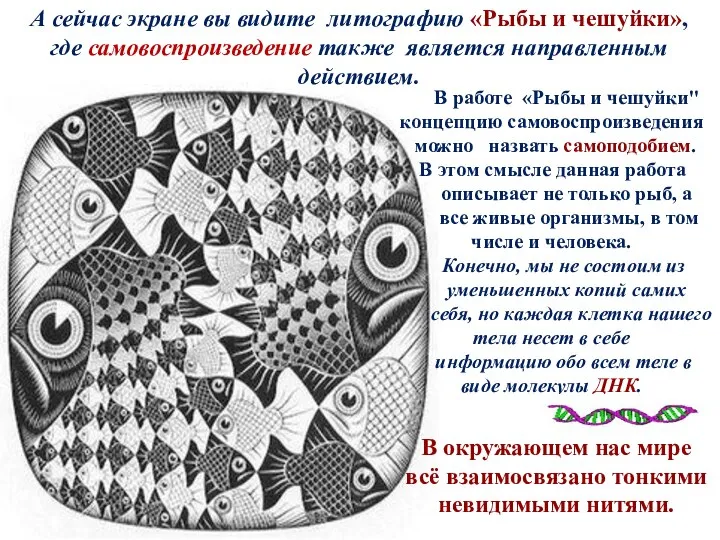 А сейчас экране вы видите литографию «Рыбы и чешуйки», где самовоспроизведение также